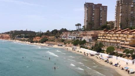 Los 'independentistas' de Orihuela Costa ponen el foco en la inseguridad