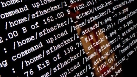 Zugriff wieder möglich: Prorussische Hacker greifen Sachsen-Anhalts Landesportal an