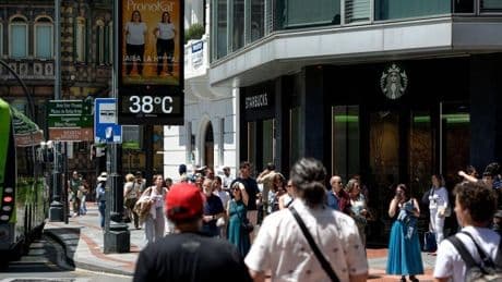 Bizkaia se prepara para soportar temperaturas «extremas» hasta el martes