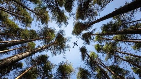To Lower Emissions, Airlines Turn To Used Cooking Oil