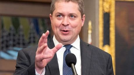 Conservatives just need some 'minor adjustments,' Andrew Scheer says after election loss