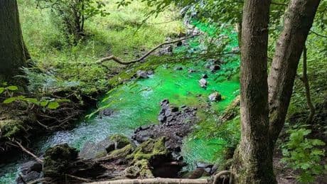 Environmental watchdog responds to fears over 'green substance' in Strathblane burn