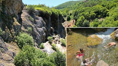 880 kilometre mesafeden geldiler! 'Ağrılara iyi geldi'