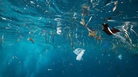 Yeni araştırma ortaya çıkardı: Mikroplastikler okyanusun her katmanına bulaştı