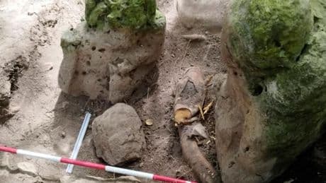Au Guatemala, découverte des vestiges d’une cité maya de 2 800 ans