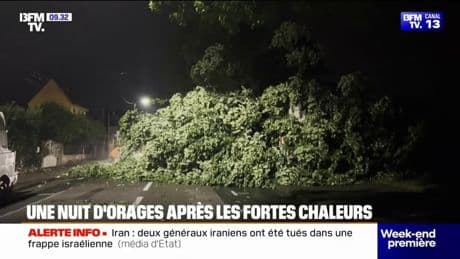 Orages: dans les Yvelines, un homme de 68 ans est mort, tué par un arbre abattu par la foudre