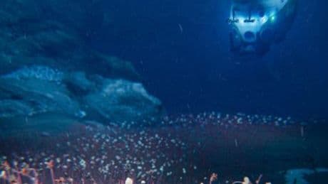 Tiefsee: Forscher entdecken spektakuläres Ökosystem in 9000 Meter Tiefe