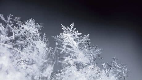 « Poudreuse » de Séverine Daucourt : des flocons de mots pour préserver la mémoire des « gens »