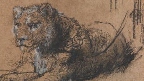 Thomas Kaplan, un « fauve » qui se nourrit de Rembrandt