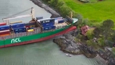 Steuermann war eingepennt - „In meinem Garten ist ein Schiff!“