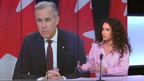 Carney meets Trump in bid to reset strained Canada-US relations