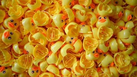 Les jouets vendus en Europe après 2029 seront sans bisphénols ni PFAS