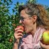Landwirtschaft: Brandenburgs Apfelernte erholt sich nach Frostjahr deutlich