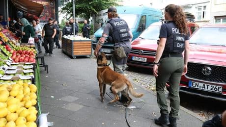 Krasse Sicherheitspanne am Gericht! - So gelang dem Grinse-Verbrecher die Flucht