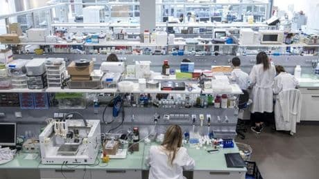 Los generadores de emergencia logran salvar "años de investigación" en los laboratorios españoles: "Podríamos haberlo perdido todo"