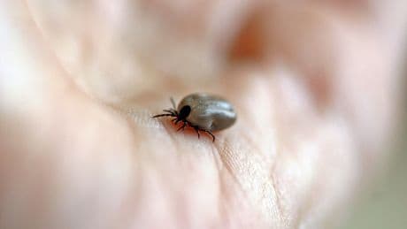DEM Partili Serhat Eren, KKKA kaynaklı ölümleri Meclis'e araştırma önergesi verdi
