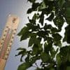 Près de 35 °C attendus : où fera-t-il le plus chaud ce mardi en France ?