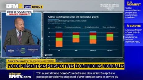 "L'impact général pour le monde sera de 1% de croissance en moins": le chef économiste de l'OCDE alerte sur les surtaxes douanières imposées par Donald Trump