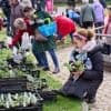 Ein Highlight für Gartenfreunde: Pflanzen shoppen beim Berliner Staudenmarkt im Botanischen Garten