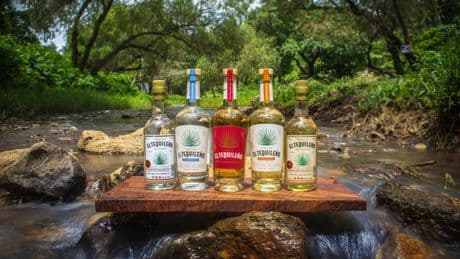 The Secret Is Out: El Tequileño Is Becoming A Global Star