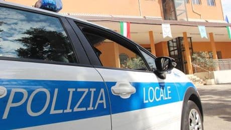 La Spezia, cane shih tzu ucciso da un’auto: la polizia locale indaga sull’accaduto