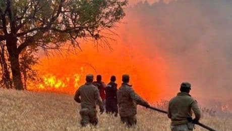 61 orman yangınıyla ilgili 23 şüpheli gözaltına alındı