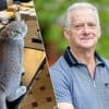 Kattenvanger Dany vond poes van De Wever op straat: “Ik zag de foto van Maximus en wist meteen: dat is Scottie”