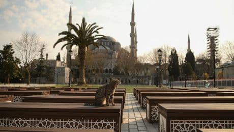 Kontroverse in Türkei - Frauenrechtlerin legt Kopftuch ab