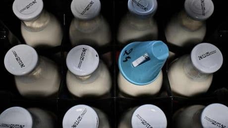 « Lactalis et Sodiaal, les deux frères ennemis du lait, se retrouvent à partager l’exploitation de Yoplait »