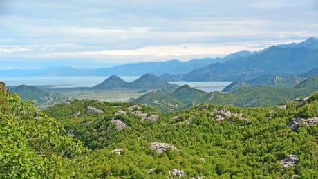 Wunderkammer des Balkans: Das Pfeifen der Schildkröten
