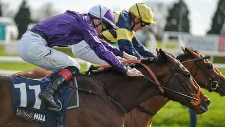 Norman's Cay dies aged 2 after horse suffered fatal injury in Epsom race