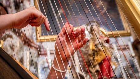 Harpe, lyre et cithare : la chronique de Dominique Pierre