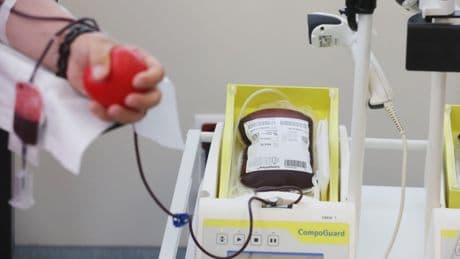 Vollblutspende: DRK: Generationenwechsel bei Blutspendern steht an
