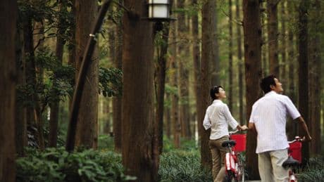 Cicloturismo: hoteles y rutas, la última tendencia del turismo de lujo