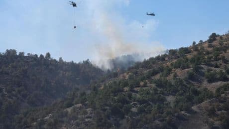 AFAD'dan orman yangınlarına ilişkin açıklama