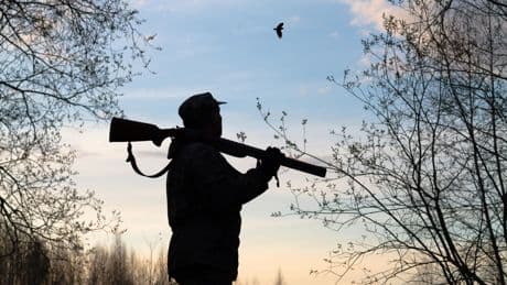 Chasse : les accidents repartent à la hausse, 11 chasseurs tués sur la saison 2024-2025 selon l’OFB