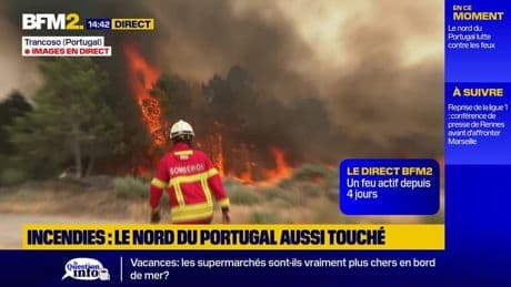 Incendies: le nord du Portugal également touché