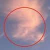 Donald Trump has got his head in the clouds! Dogwalker spots US president's profile in the sky