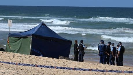 Strände gesperrt: «Großer Hai» tötet Surfer in Sydney