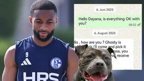 „Ich bin verzweifelt und werde bedroht“ - Jetzt spricht die Hundesitterin von „Ghost“