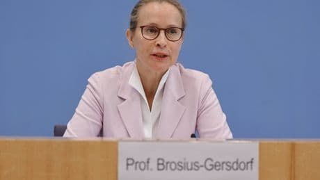 Stelle am Verfassungsgericht  - Brosius-Gersdorf zieht Kandidatur zurück