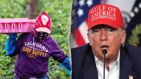 Trump 'working on' deportation exemptions for illegal farm and hospitality workers