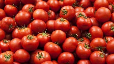 Tomatenrepublik Deutschland? Schwarz-roter Plan überrascht