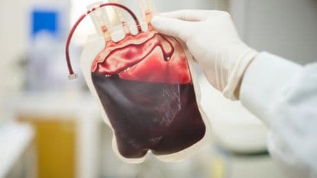 Científicos japoneses desarrollan sangre artificial apta para todos los grupos sanguíneos