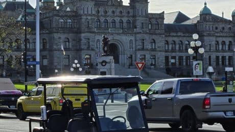 Street-legal electric golf carts now available to rent in Victoria