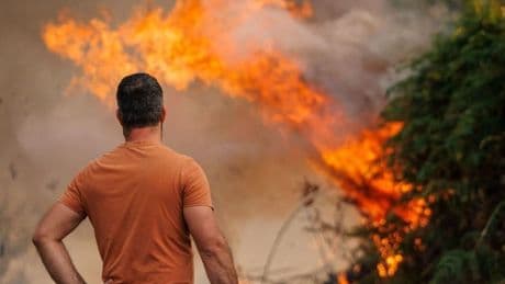 El fuego avanza: causas, cifras y lecciones de una crisis global