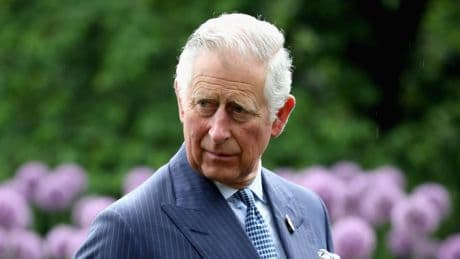 Royals: Charles laufen die Gärtner weg – diese Ansprüche hat der König
