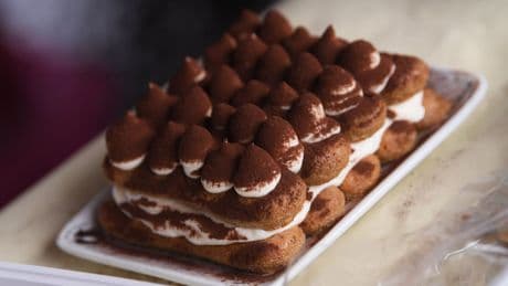 Traumjob für Nachkatzen - Bewerben Sie sich als Testesser für die Tiramisu-WM!