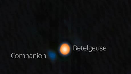 Phänomen im Sternbild Orion: Rätsel um Stern Beteigeuze nach langer Suche wohl gelöst