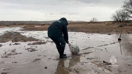 Russie: la saison touristique en mer Noire perturbée par la pollution causée par le naufrage de deux pétroliers